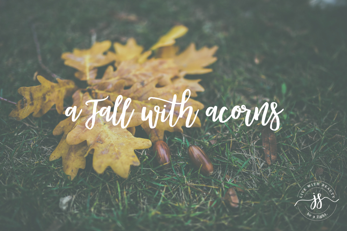 A Fall with Acorns